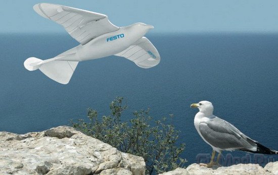 Робот-чайка Festo SmartBird